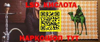 хмурый Сланцы